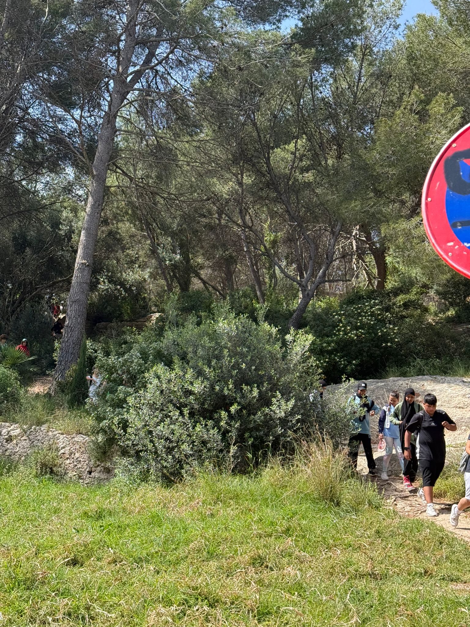 WhatsApp Image 2026-04-24 at 21.55.09 (8)