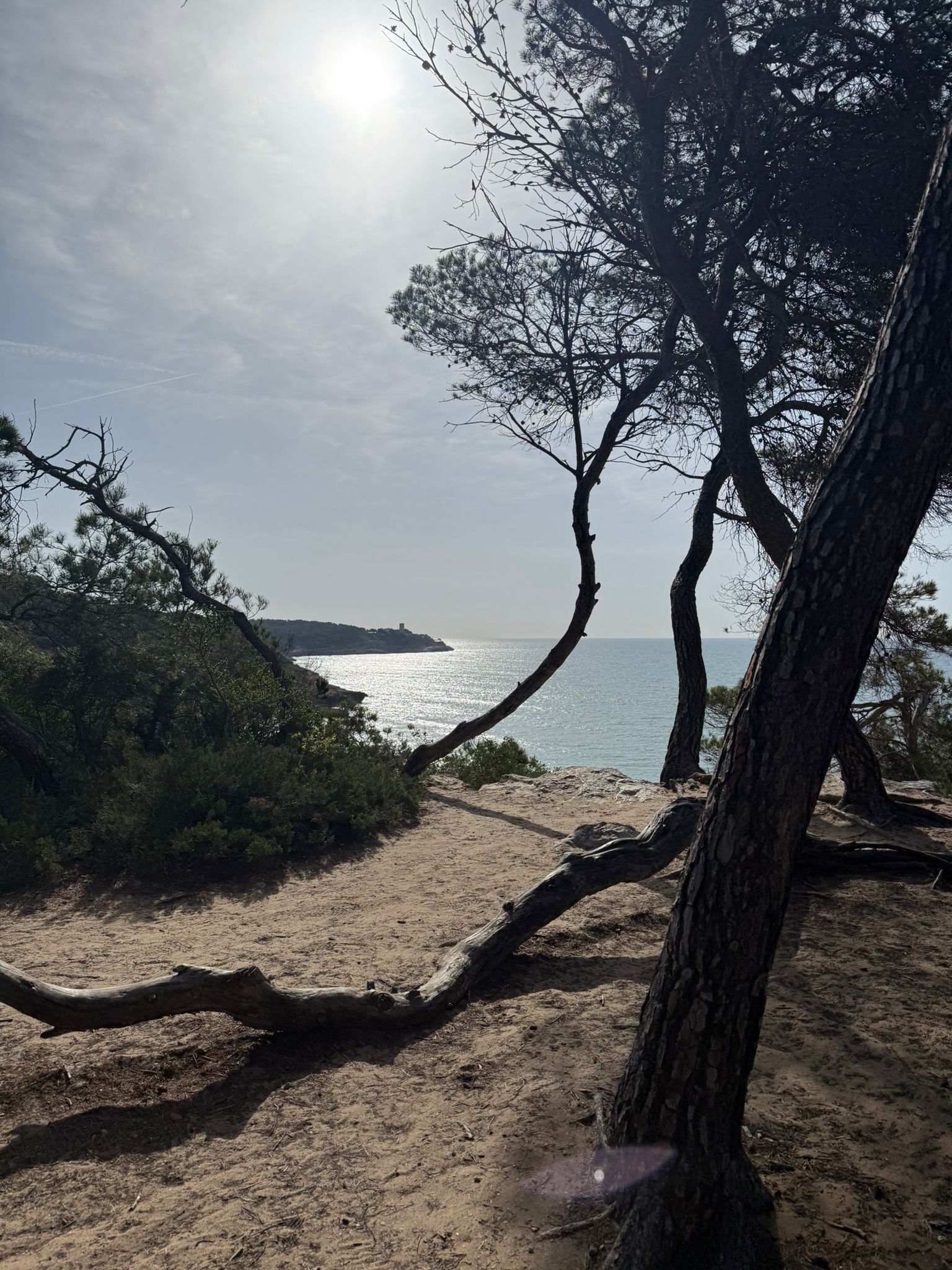 WhatsApp Image 2026-04-24 at 21.55.10 (7)