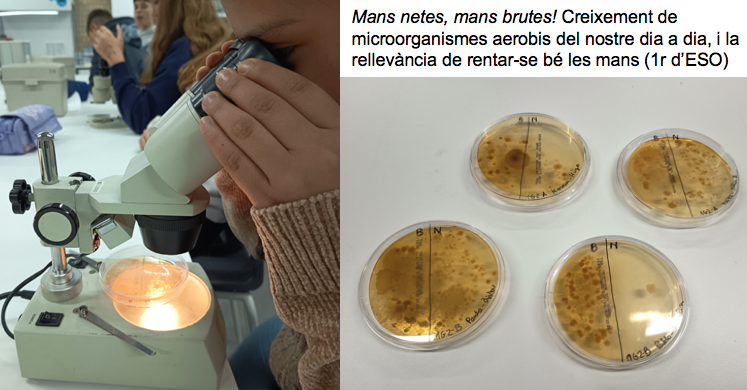 Captura de pantalla 2026-02-14 a las 9.05.53