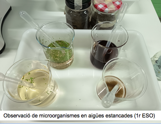 Captura de pantalla 2026-02-14 a las 9.23.02