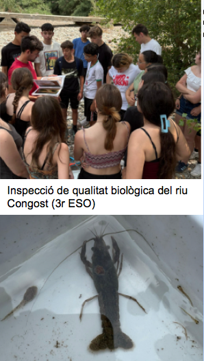 Captura de pantalla 2026-02-14 a las 9.56.46