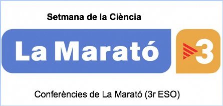 Captura de pantalla 2026-02-15 a las 8.36.35