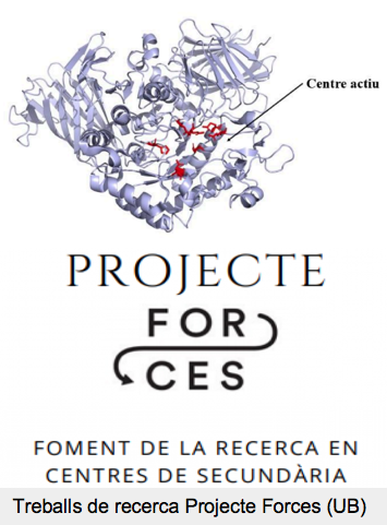 Captura de pantalla 2026-02-08 a las 10.03.57