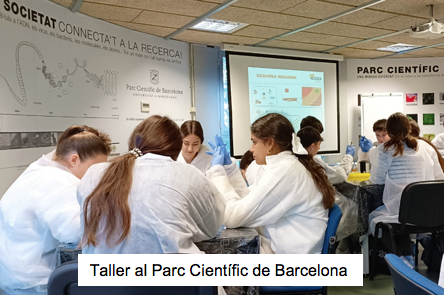 Captura de pantalla 2026-02-08 a las 10.08.00