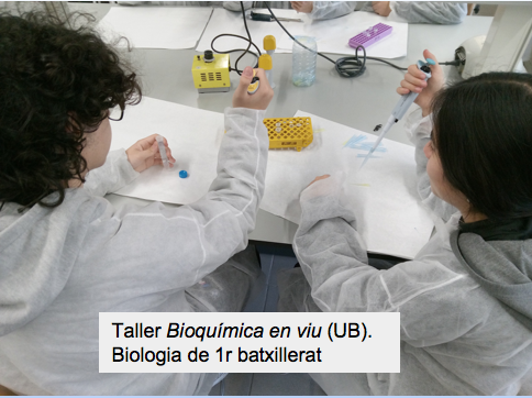 Captura de pantalla 2026-02-08 a las 10.16.44