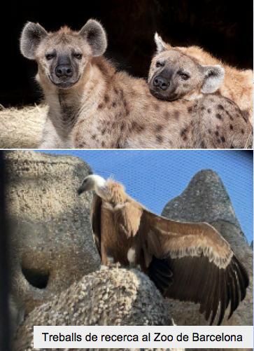 Captura de pantalla 2026-02-08 a las 9.54.49