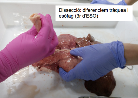 Captura de pantalla 2026-04-09 a las 23.32.35