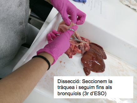 Captura de pantalla 2026-04-09 a las 23.32.51