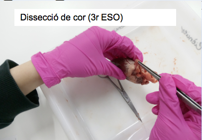 Captura de pantalla 2026-04-18 a las 10.30.03