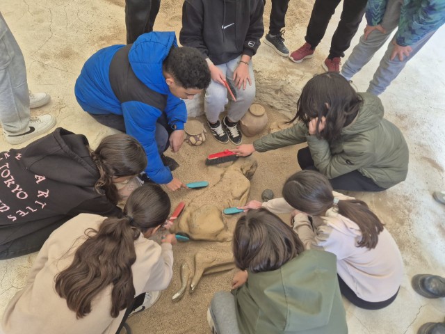 IMG-20251122-WA0003 (Small)