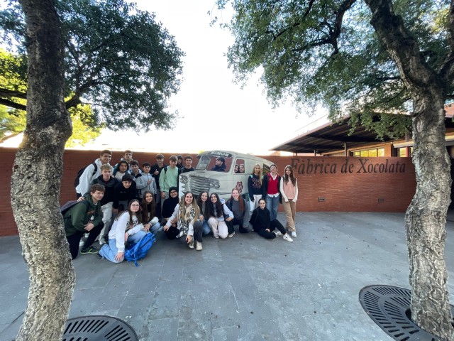 IMG-20251111-WA0008(1)