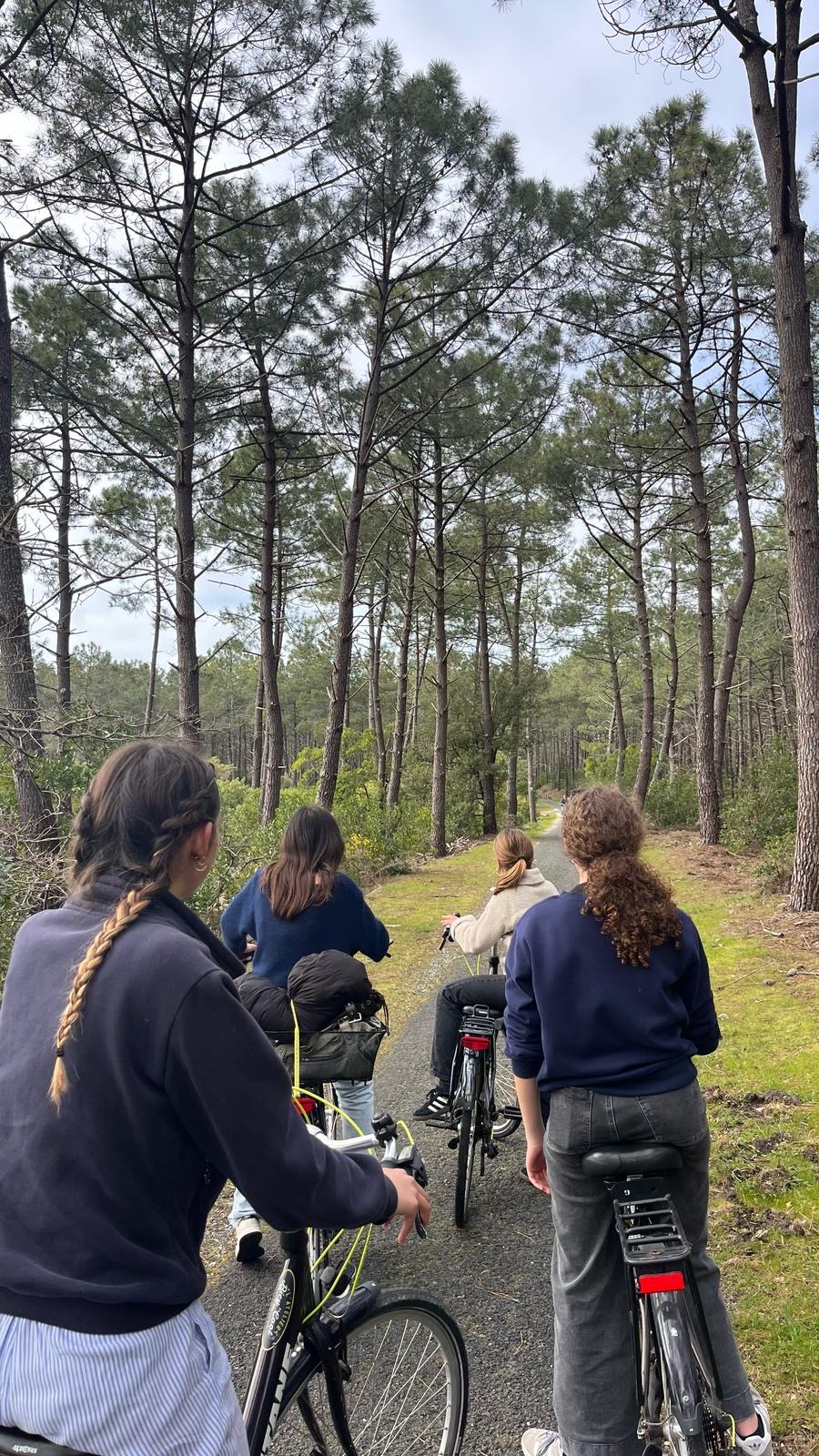 5089c888-3d5d-420a-ba84-e2d6e7e31e7f