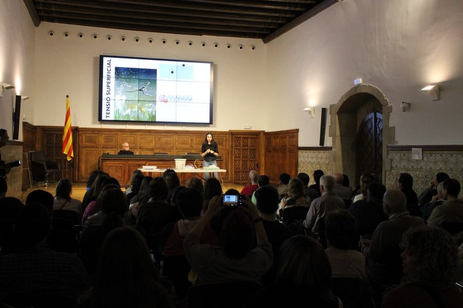 337881150_1439470396795728_1446097633335152013_n