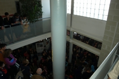 P3085395.JPG-nggid03125-ngg0dyn-240x160x100-00f0w010c011r110f110r010t010