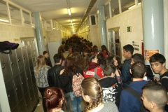 P3085411.JPG-nggid03136-ngg0dyn-240x160x100-00f0w010c011r110f110r010t010