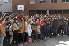 P3085454.JPG-nggid03113-ngg0dyn-240x160x100-00f0w010c011r110f110r010t010