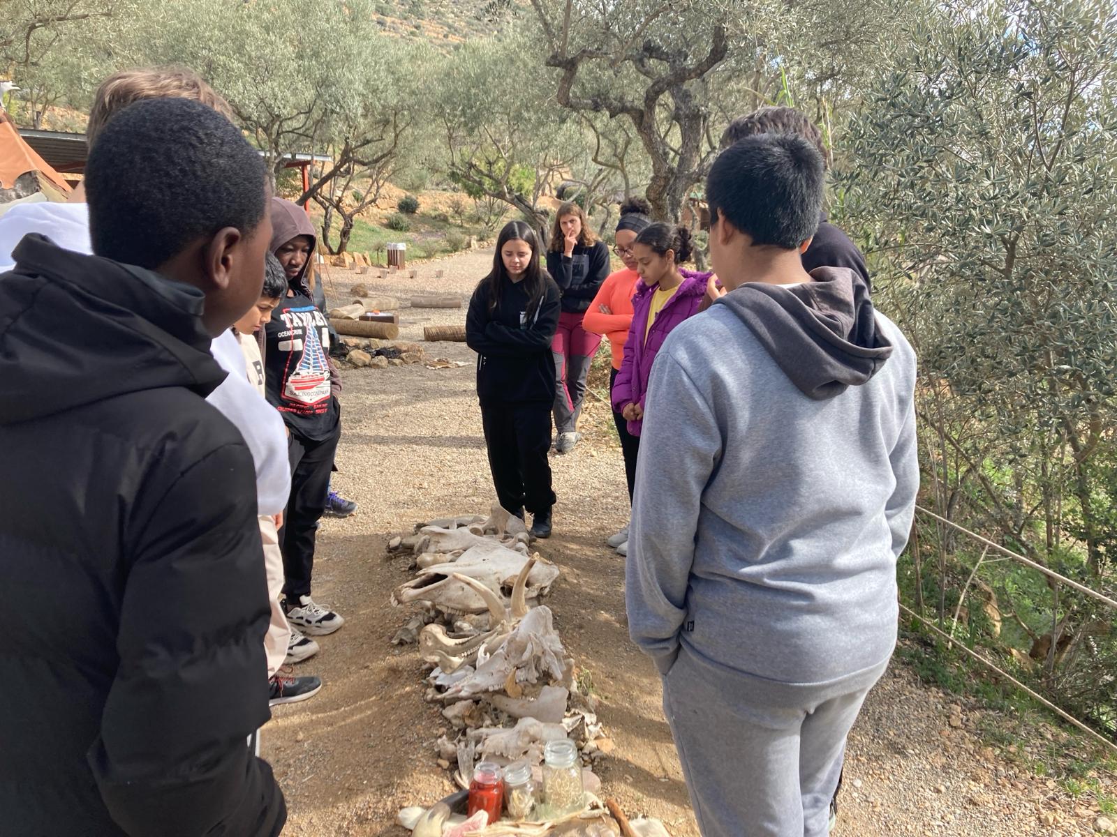 WhatsApp Image 2024-04-08 at 15.37.30(2)