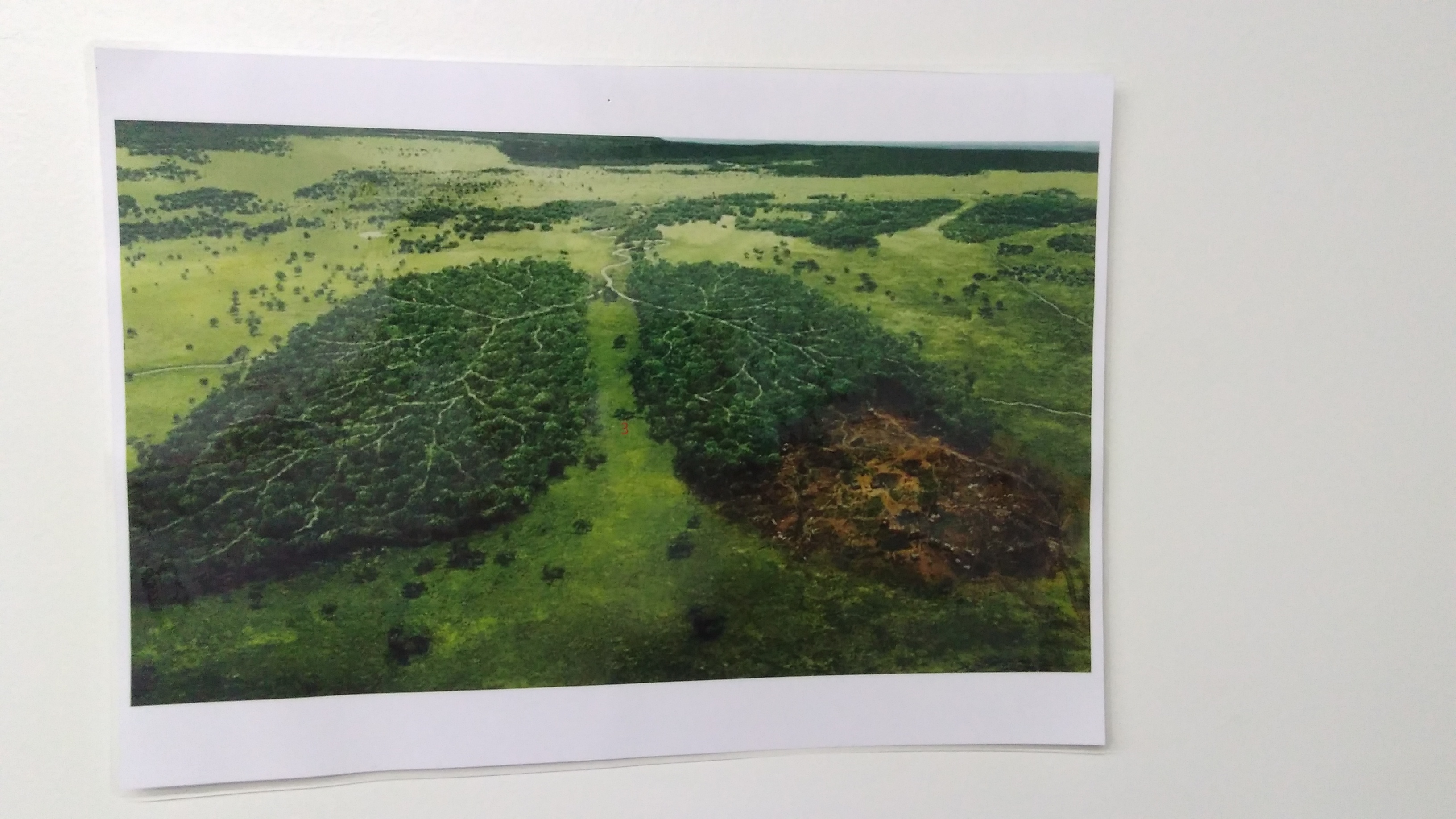 IMG_20190129_115702640