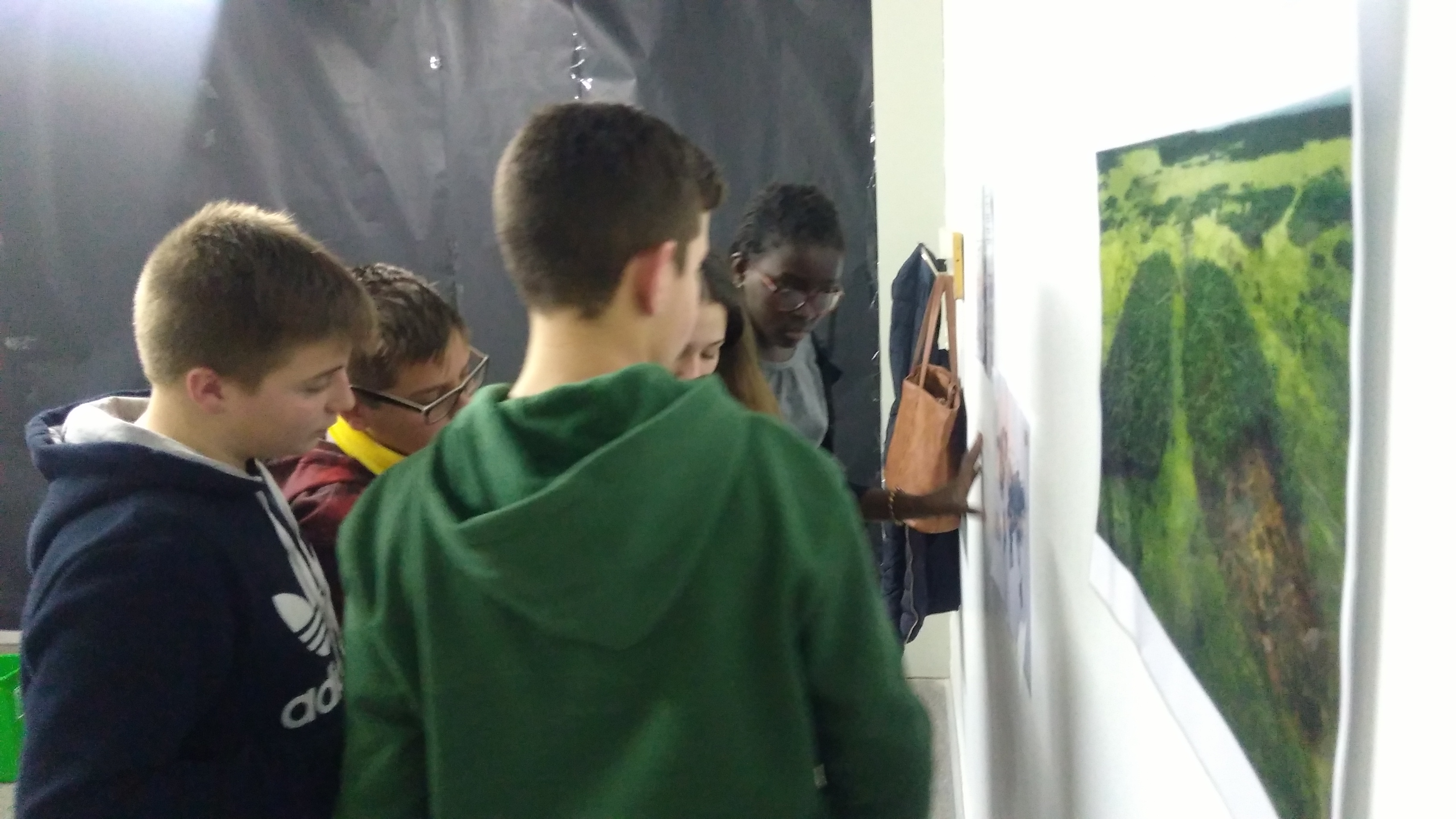 IMG_20190129_115915638