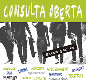 Consulta oberta