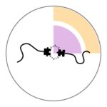 Imatge de la comissió de comunicació