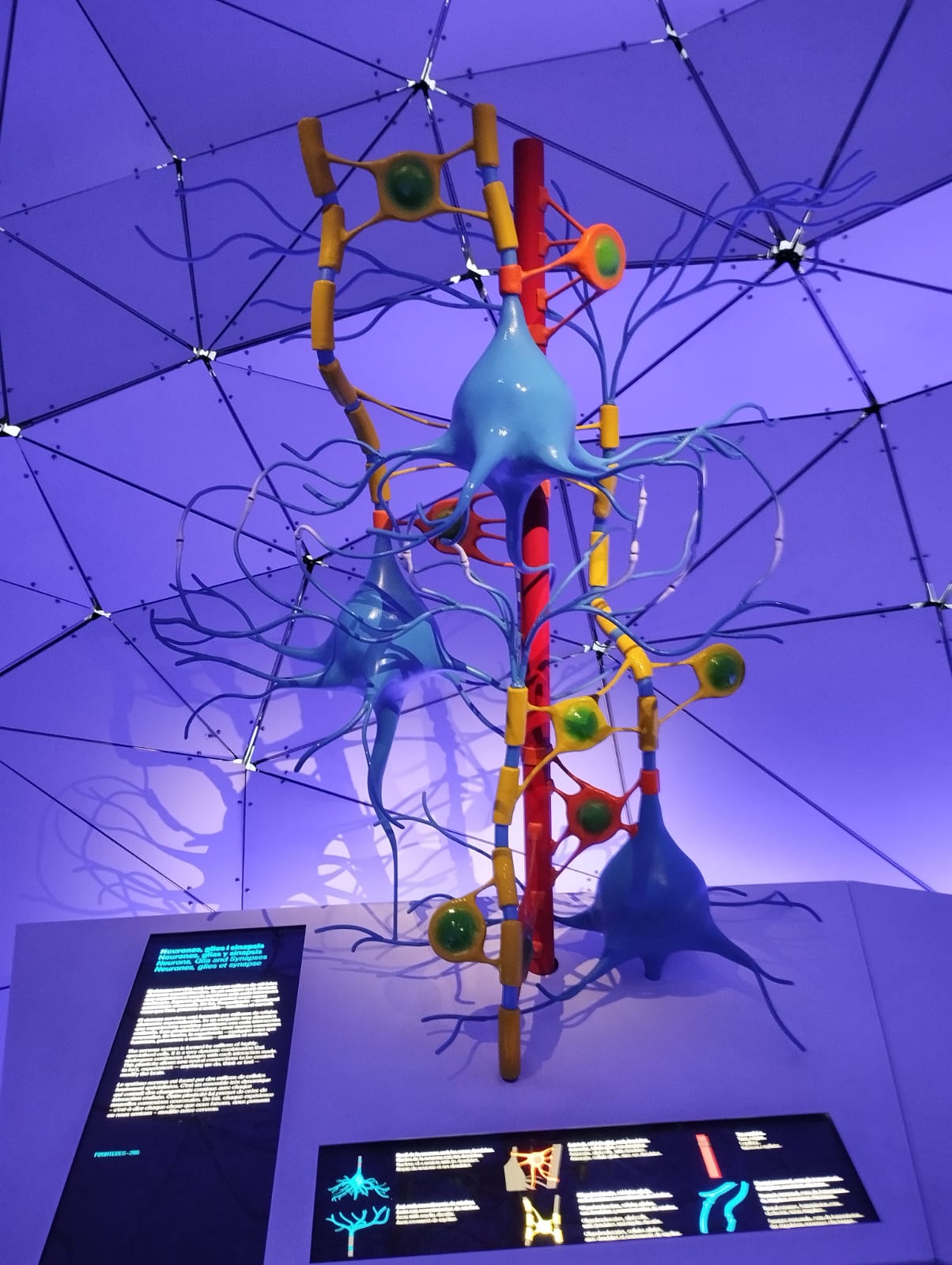 PHOTO-2024-10-25-09-53-47_1