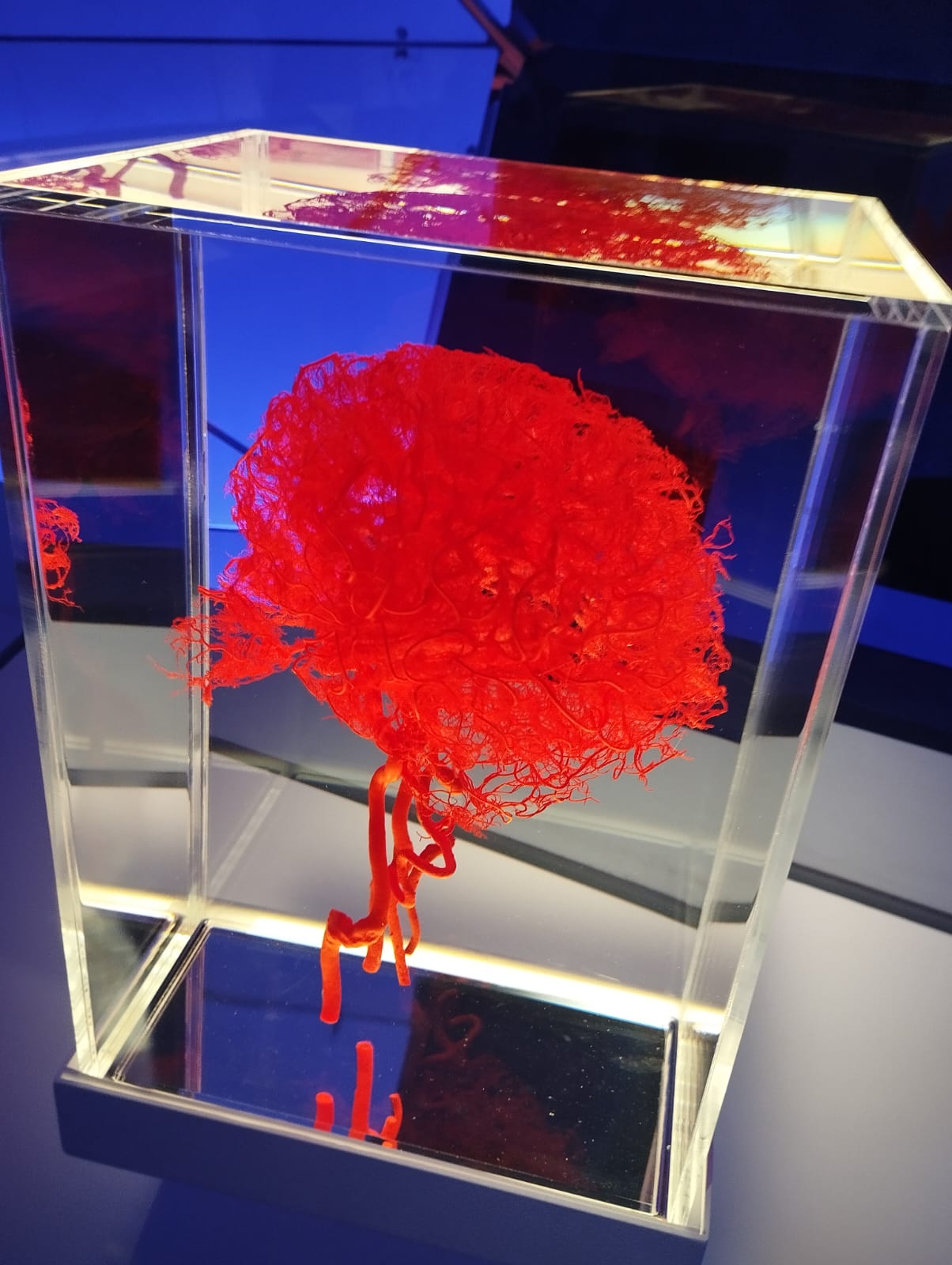 PHOTO-2024-10-25-09-53-48