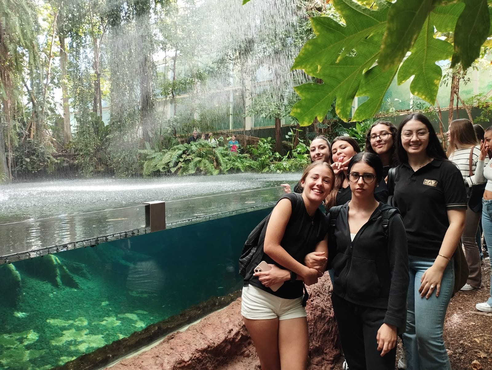 PHOTO-2024-10-25-09-53-50_4