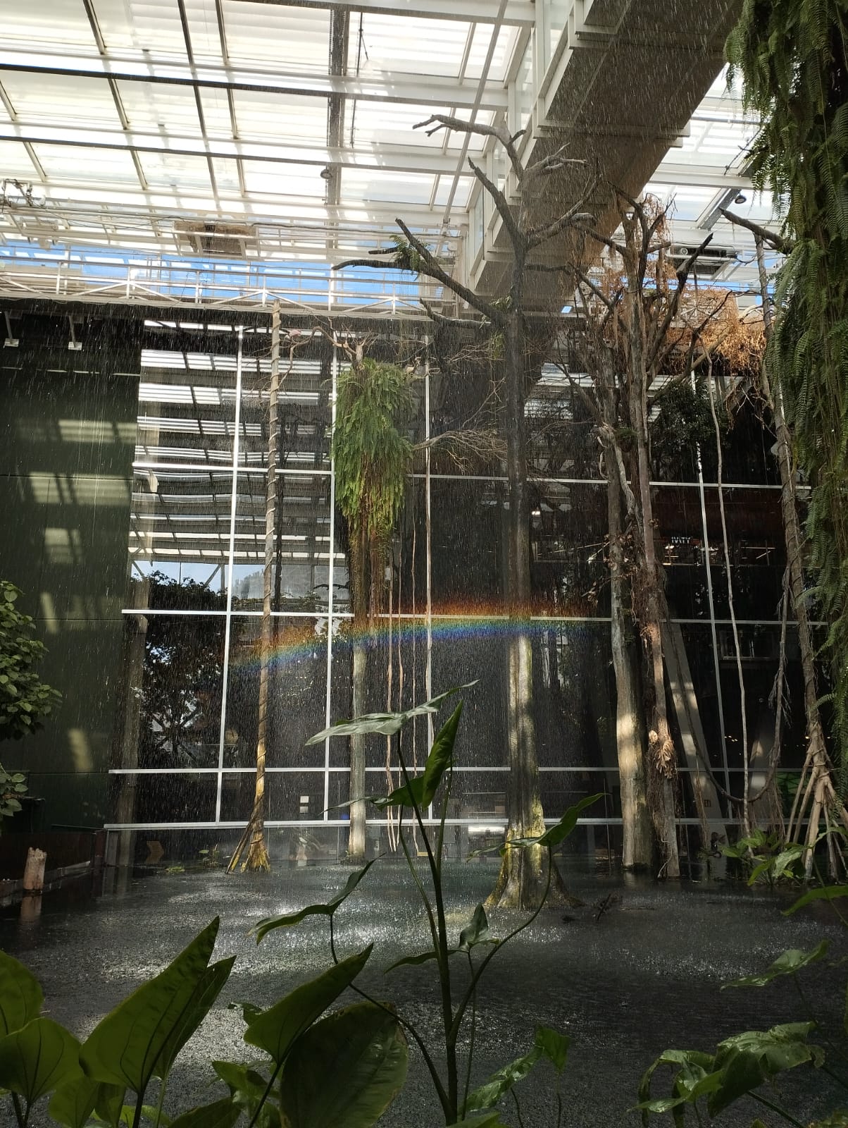 PHOTO-2024-10-25-09-53-50_5