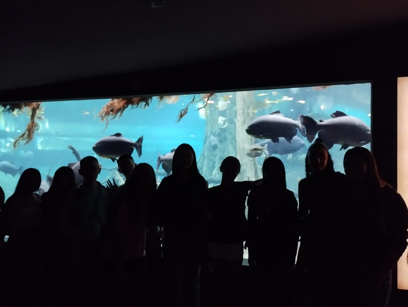 PHOTO-2024-10-25-09-53-51