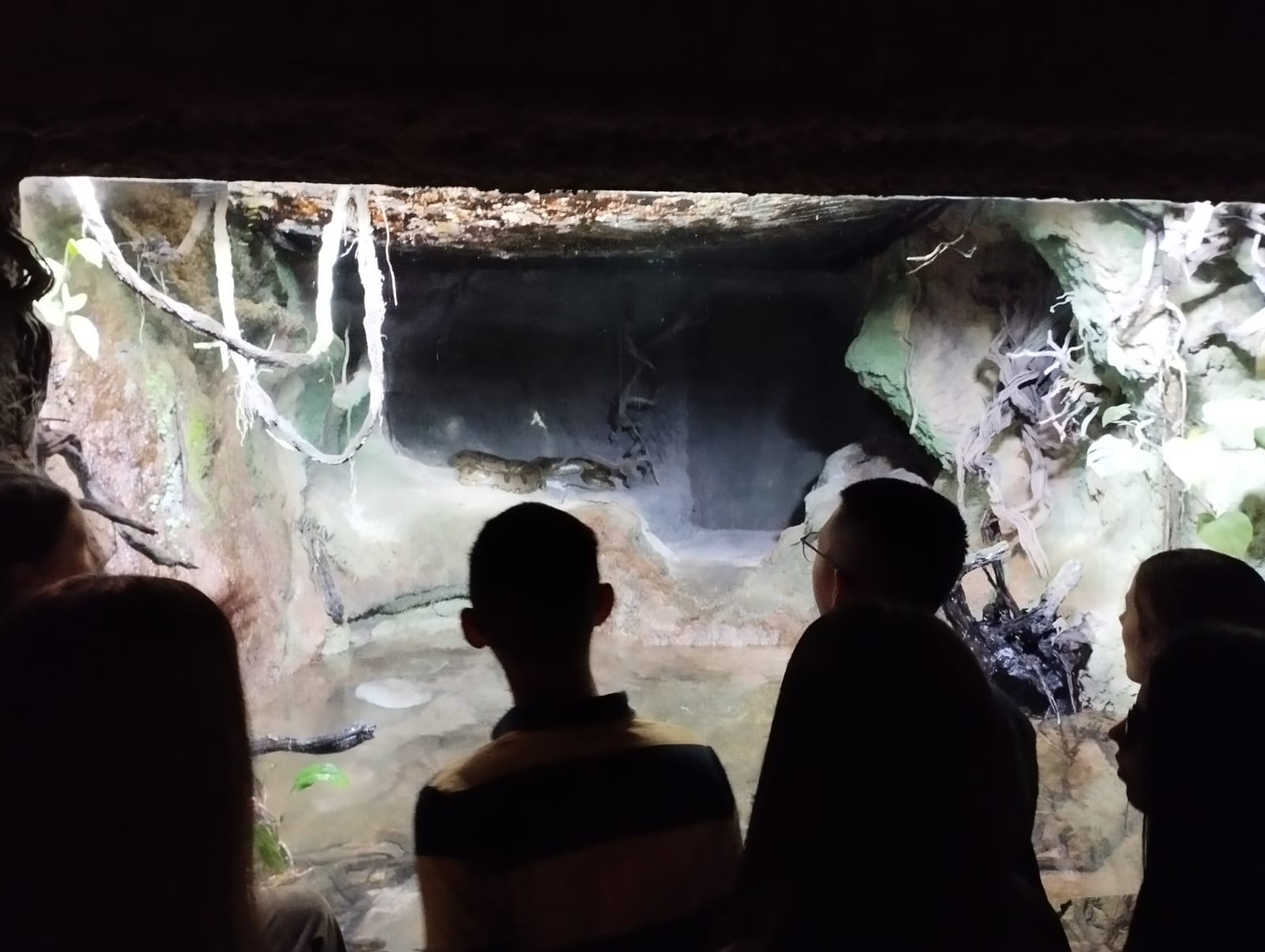 PHOTO-2024-10-25-09-53-51_1