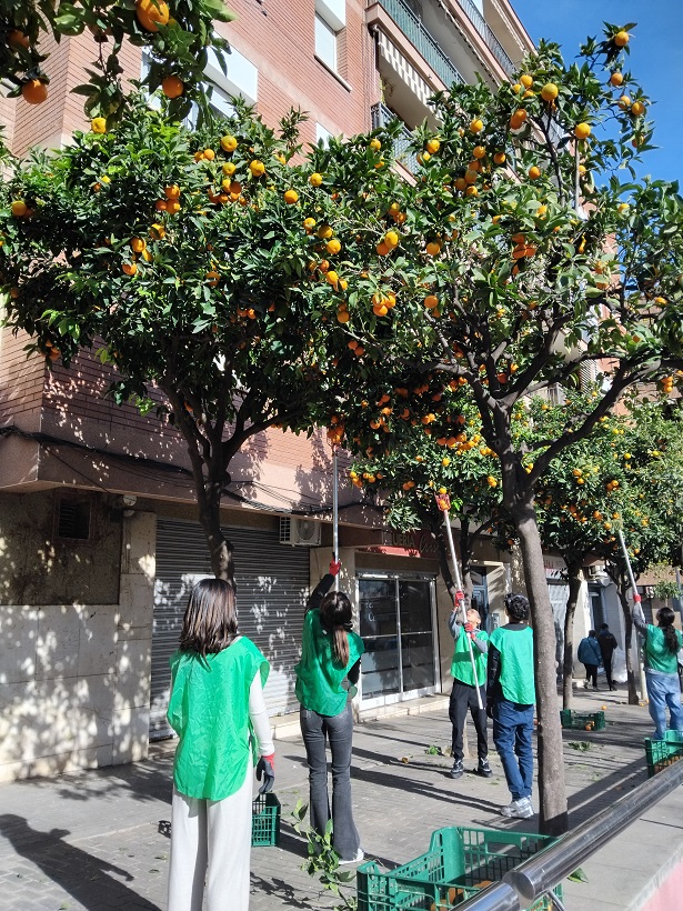 IMG_20250129_113440_B