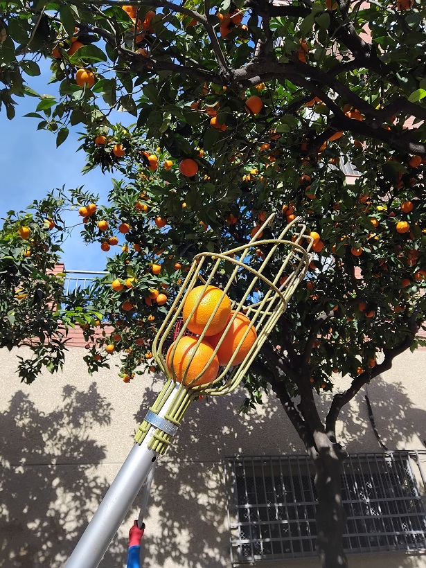 IMG_20250129_113453_B