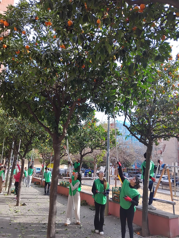 IMG_20250129_115944_B