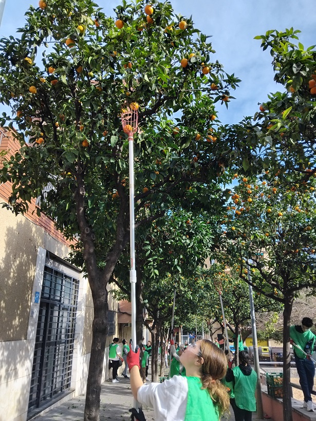 IMG_20250129_115955_B