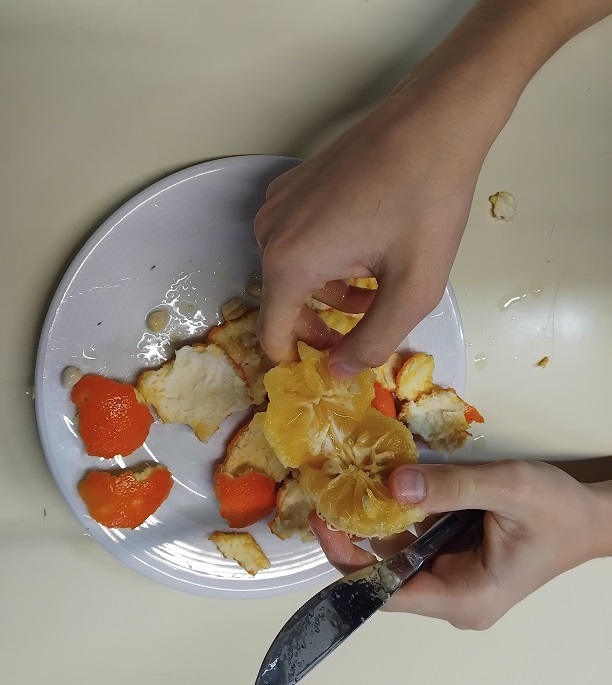 IMG_20250205_082509_B