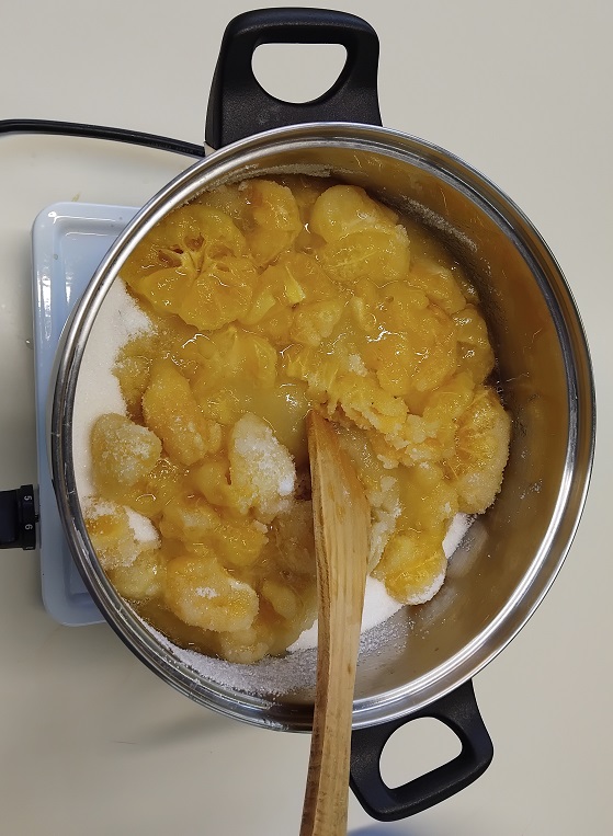 IMG_20250205_083800_B