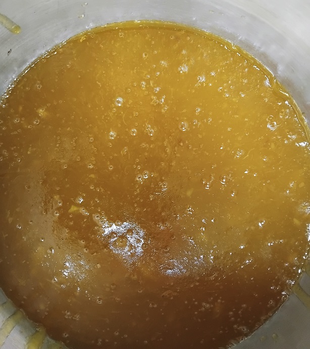 IMG_20250205_091651_B