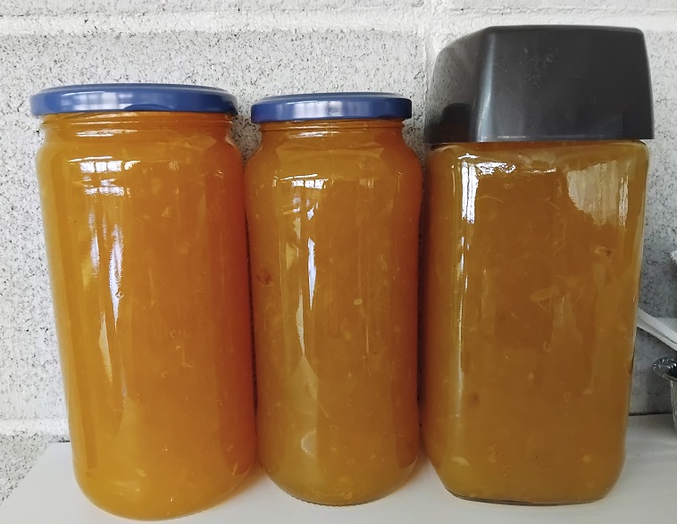 IMG_20250205_112837_B