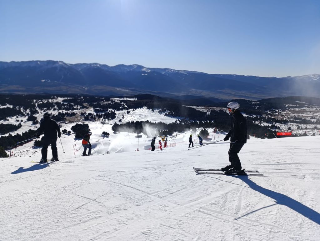 WhatsApp Image 2025-01-14 at 17.55.49