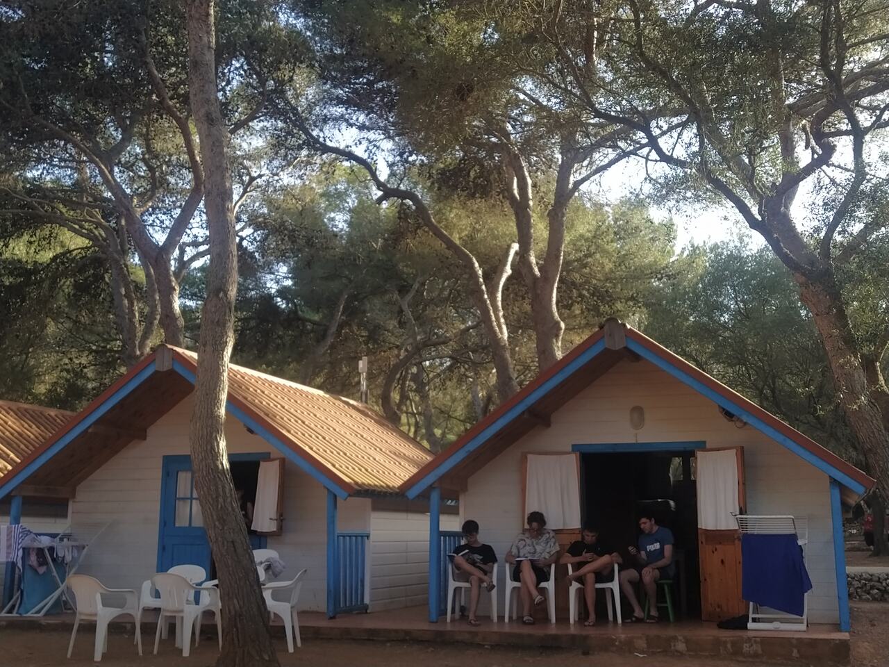 IMG_20240617_192044_Easy-Resize.com (1)