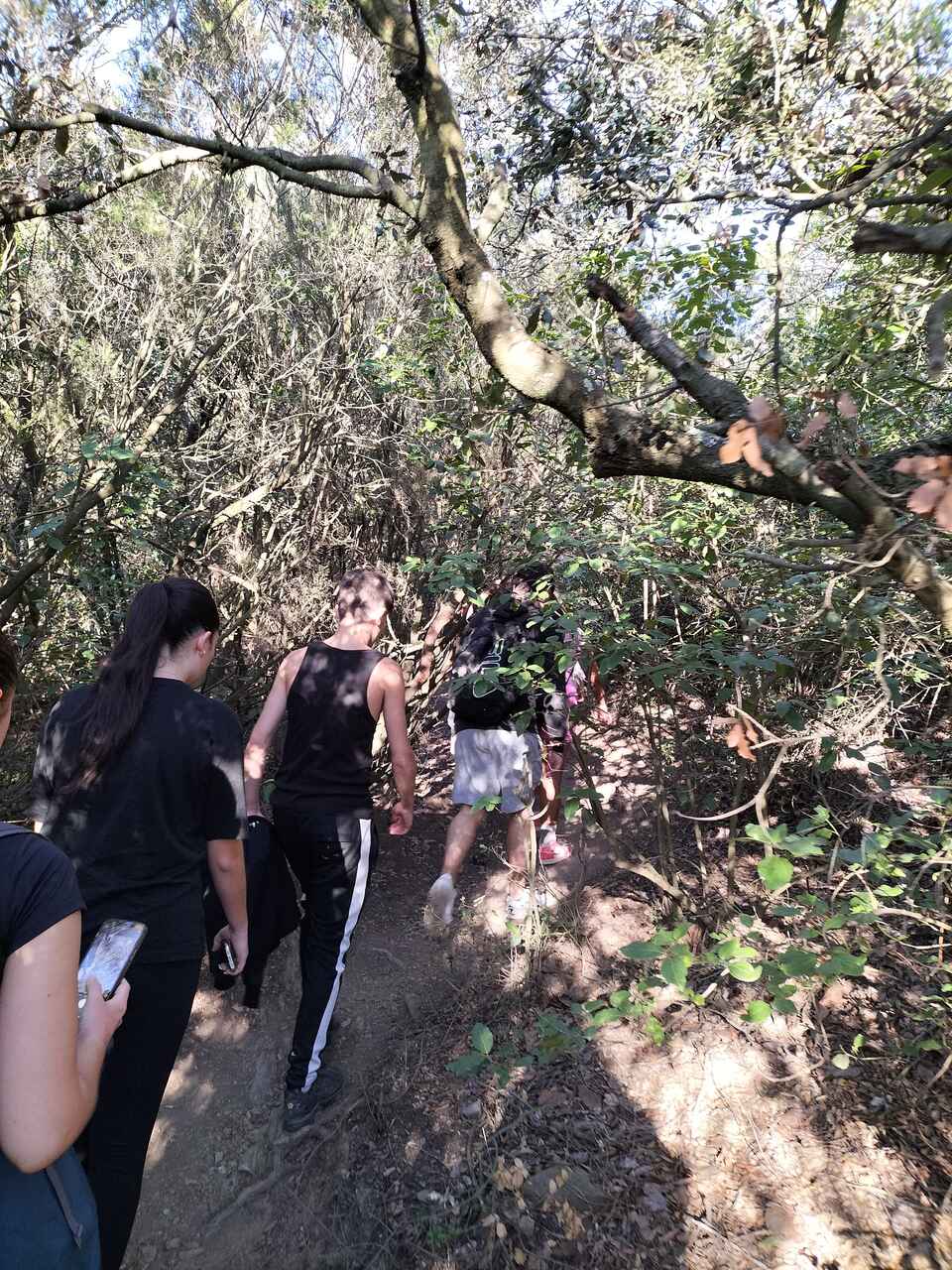 IMG20240930092042_Easy-Resize.com