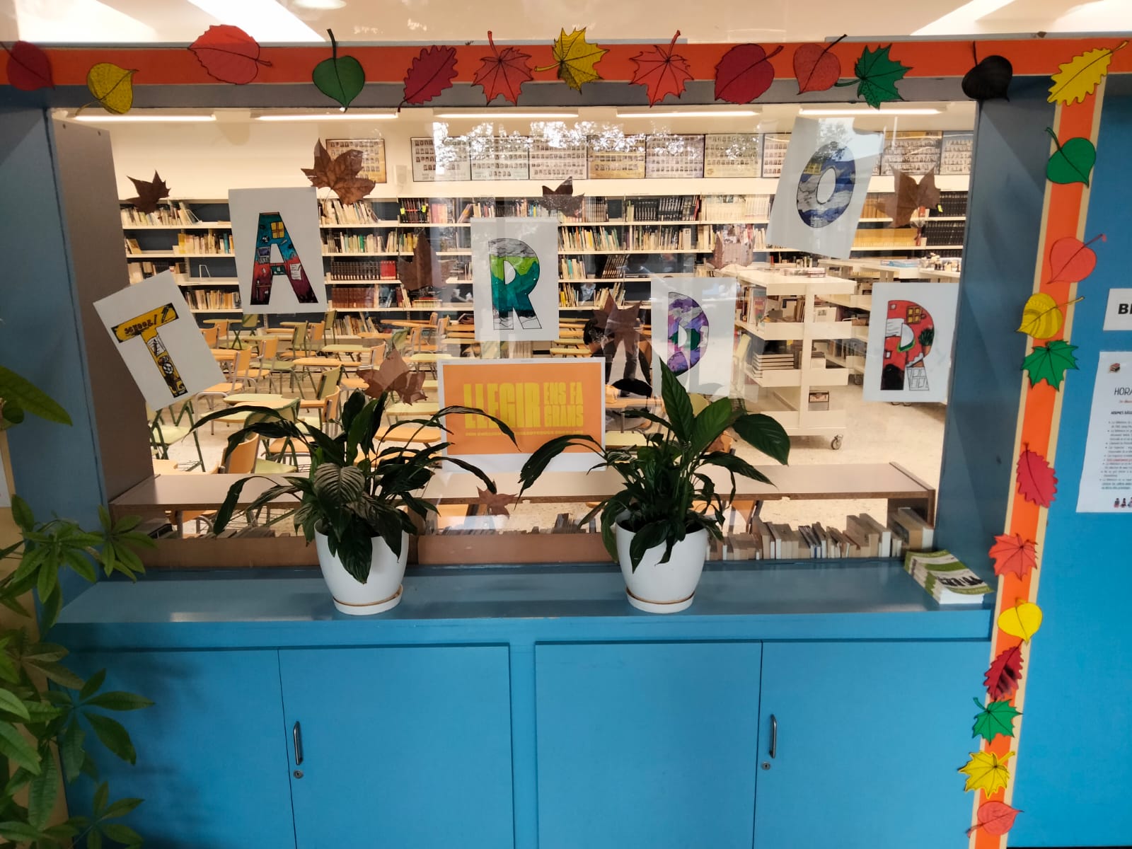 WhatsApp Image 2024-10-30 at 11.21.07 (1)