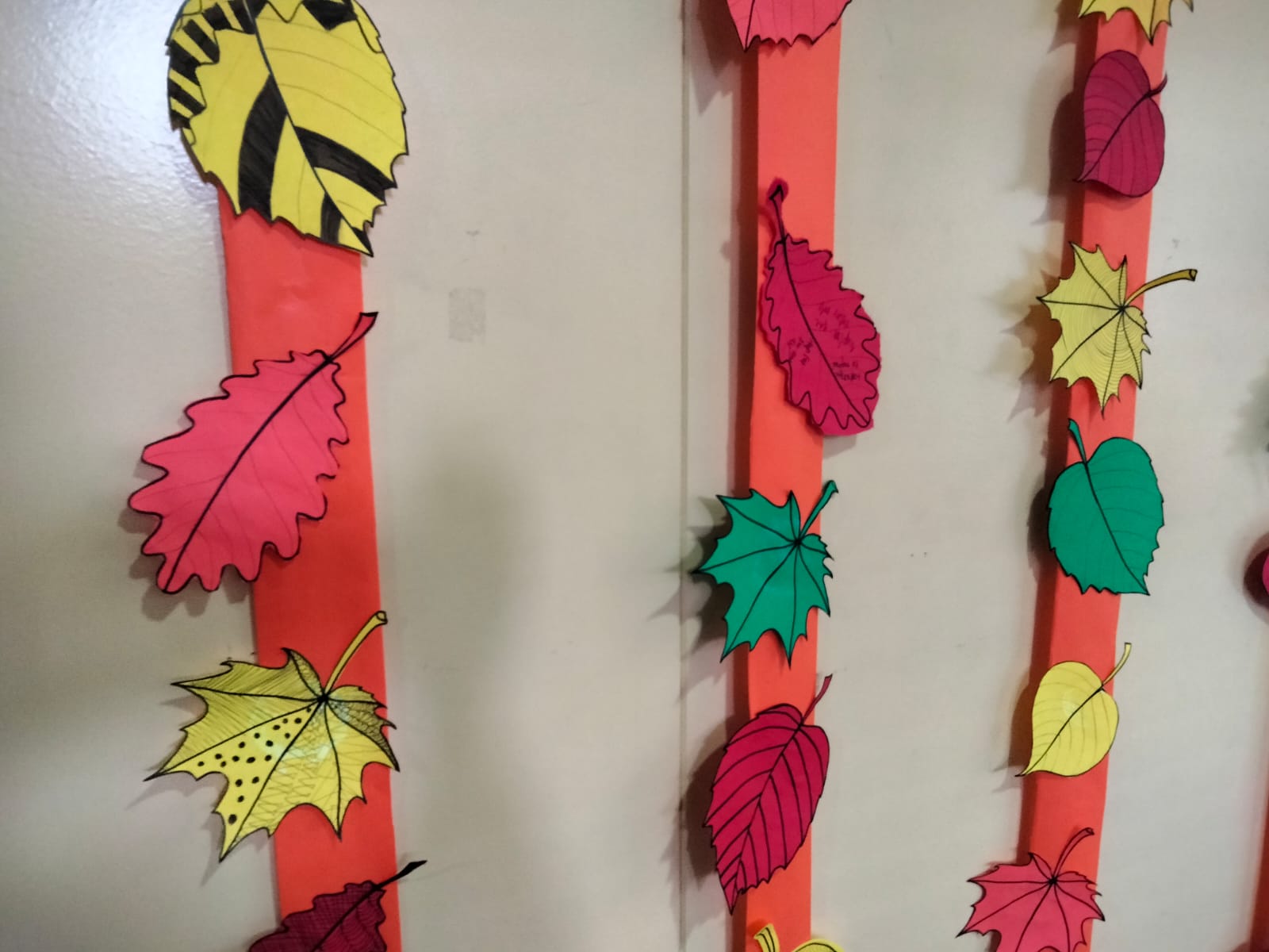 WhatsApp Image 2024-10-30 at 11.21.07