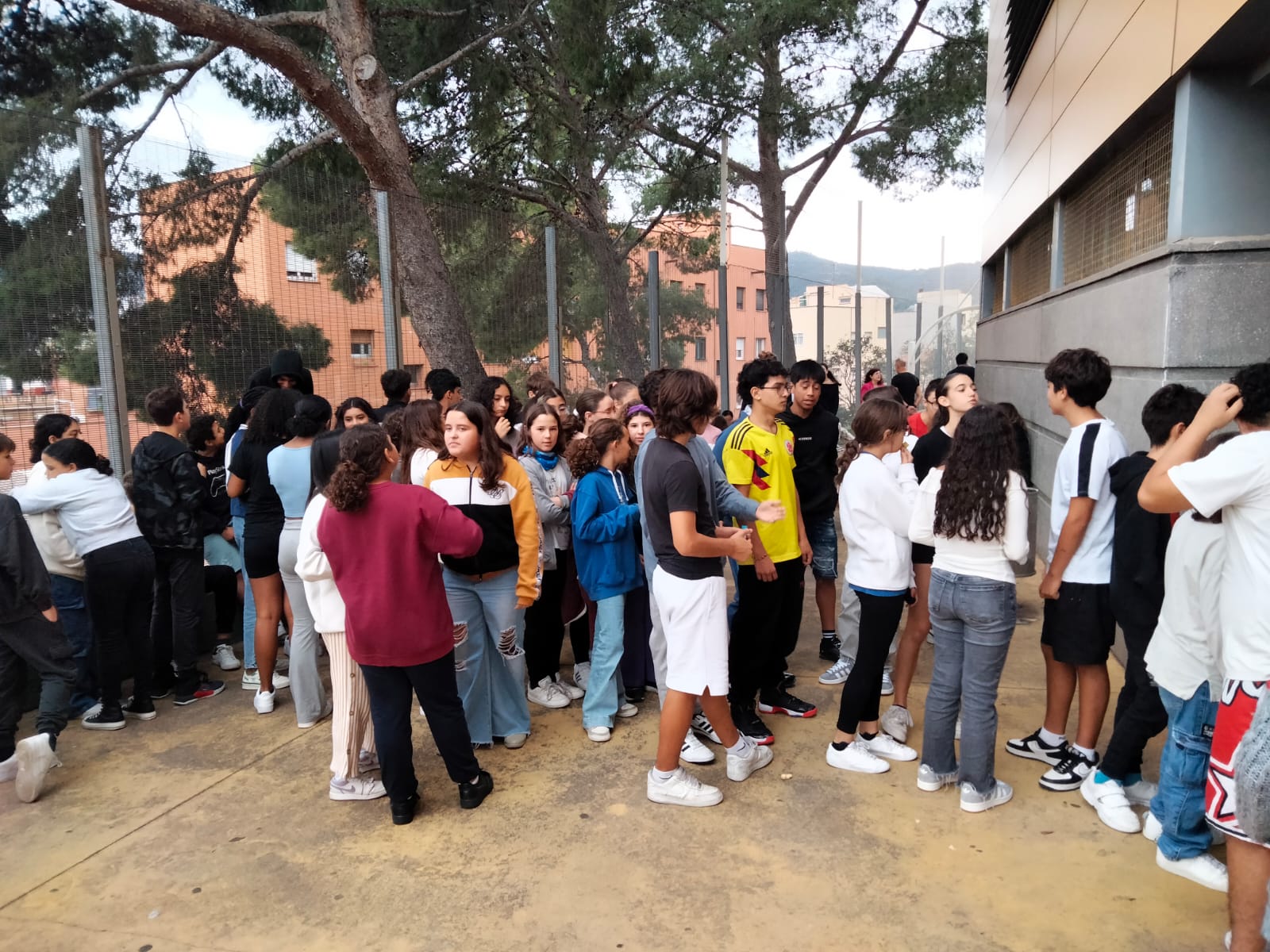 WhatsApp Image 2024-10-30 at 11.21.08 (1)