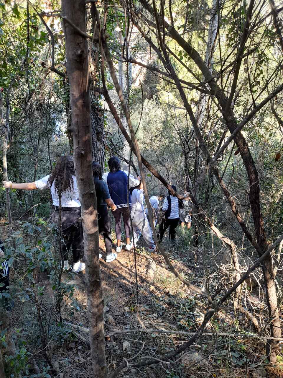 20241111_121603_Easy-Resize.com