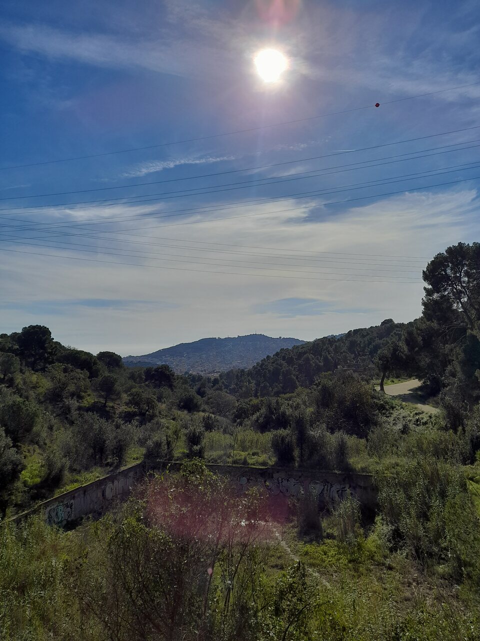 20241111_122421_Easy-Resize.com