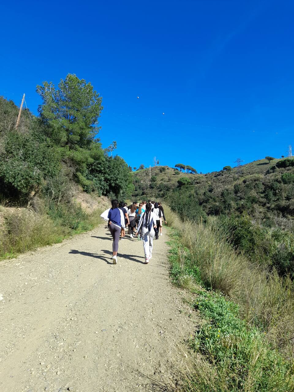 20241111_122436_Easy-Resize.com