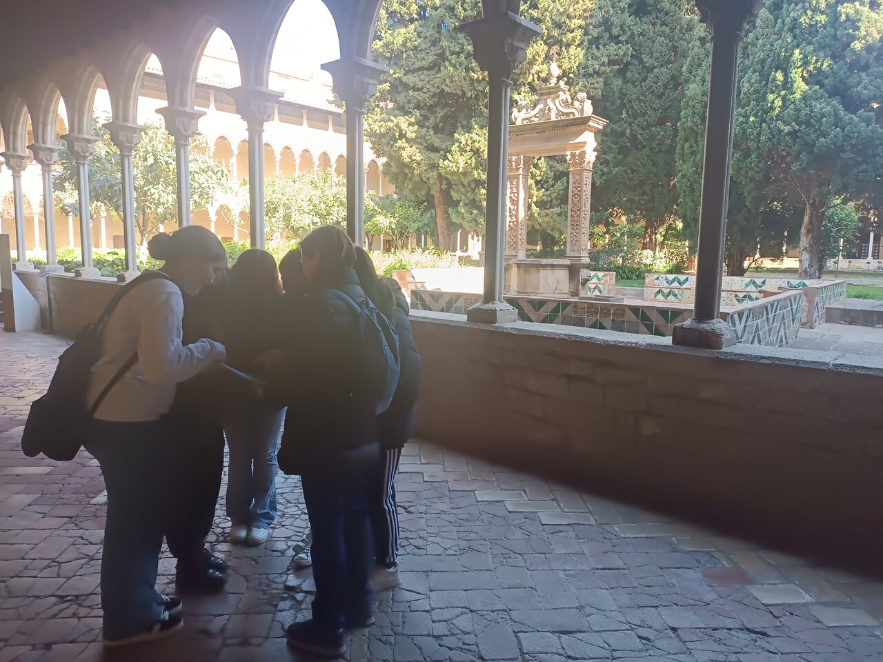 IMG_20250305_111523_Easy-Resize.com