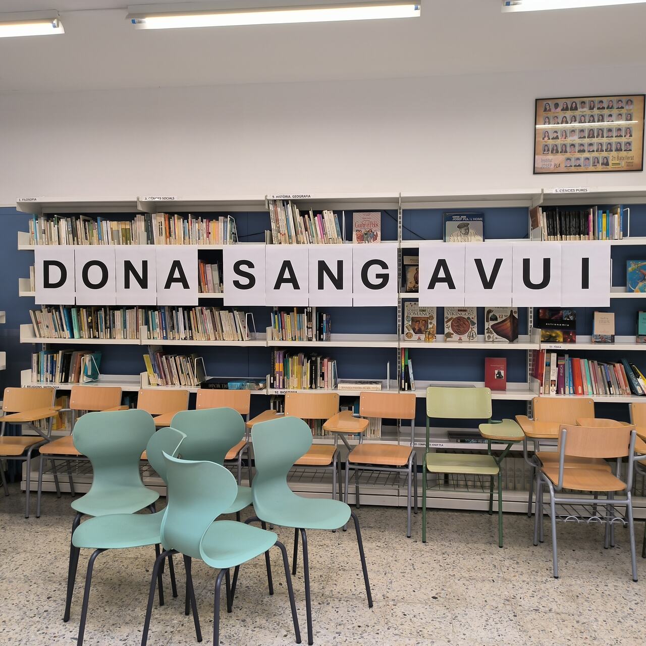 1743706757977_Easy-Resize.com